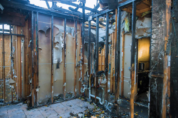 Professional Smoke Damage Removal technician working in Watsessing, NJ